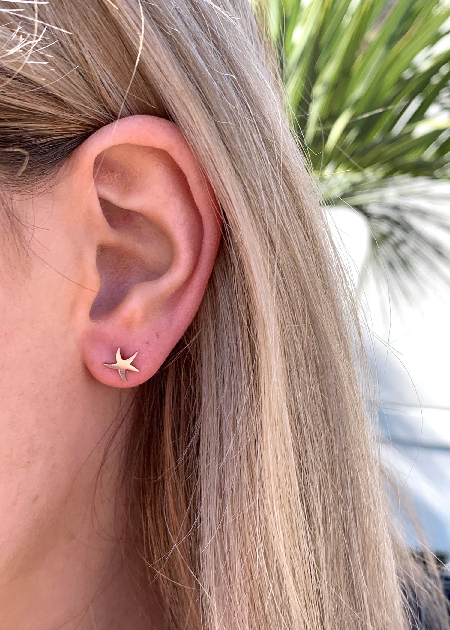 Alina small starfish studs on model.
