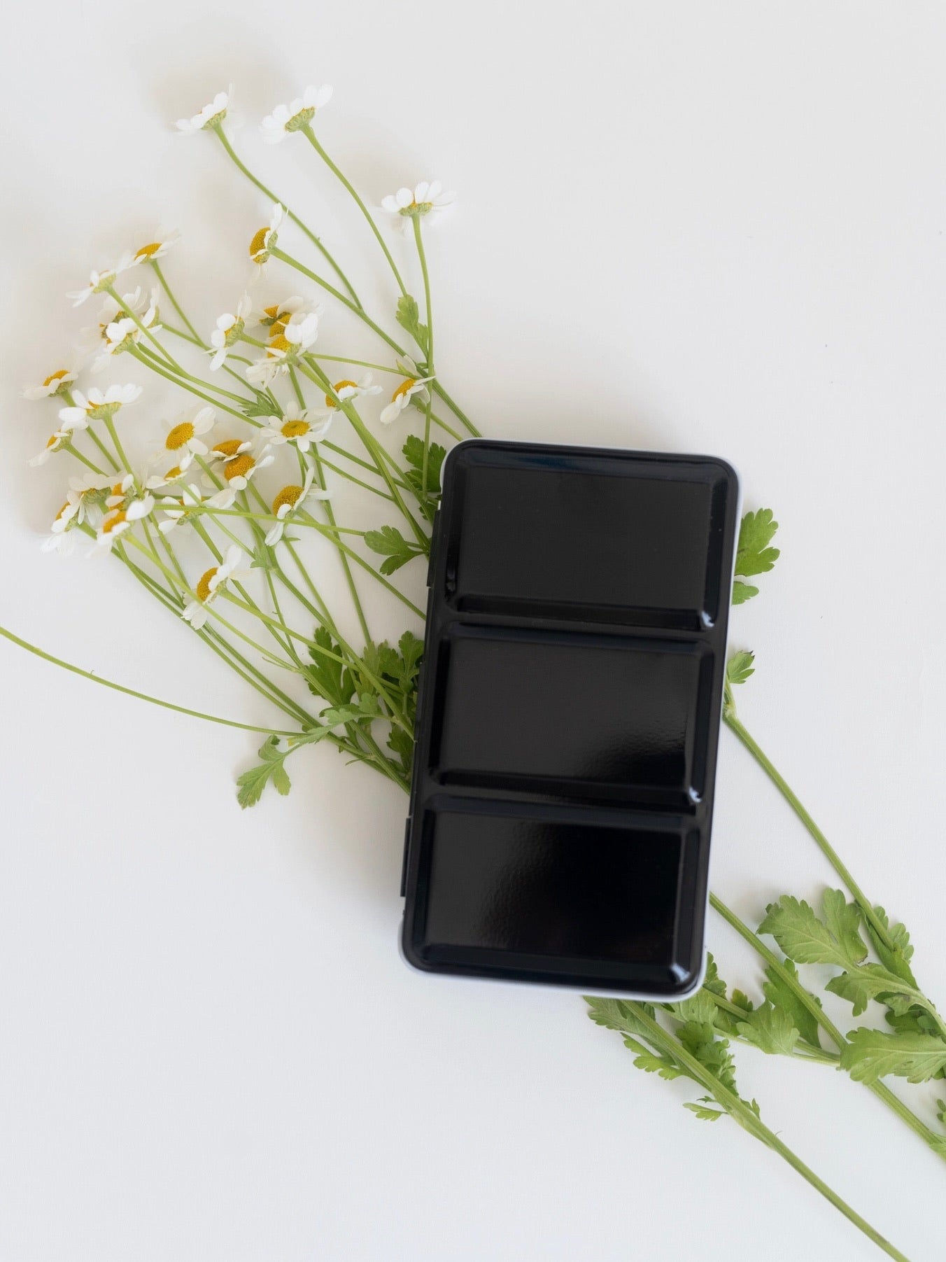 Black paint palette with flowers on a white background