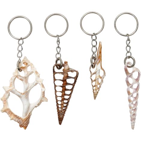 A set of seashell keychains with various designs, attached to metal rings and chains.