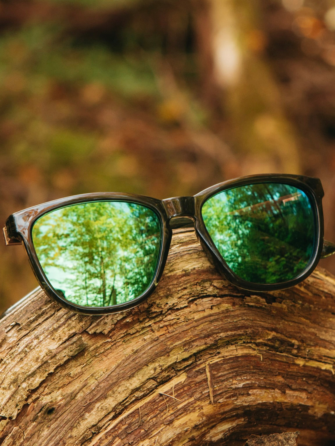 Arrowcrest Fern/HD Plus Polarized Green Flash