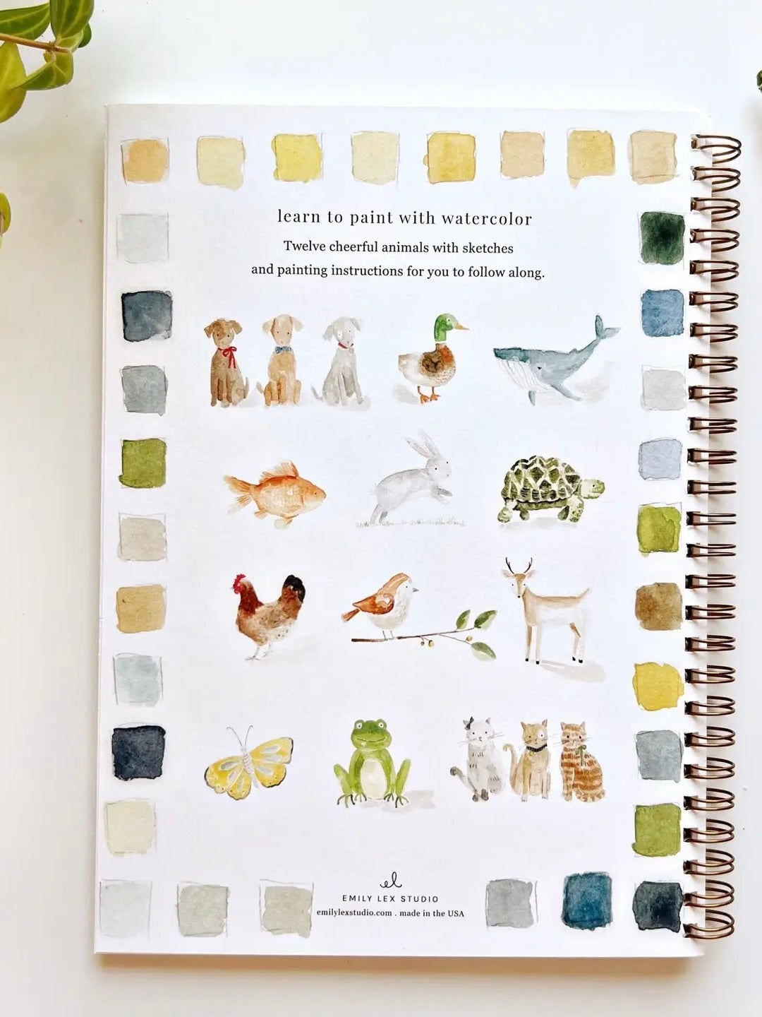 12 animal illustrations to paint in the Animals watercolor workbook by Emily Lex at ardor boutique