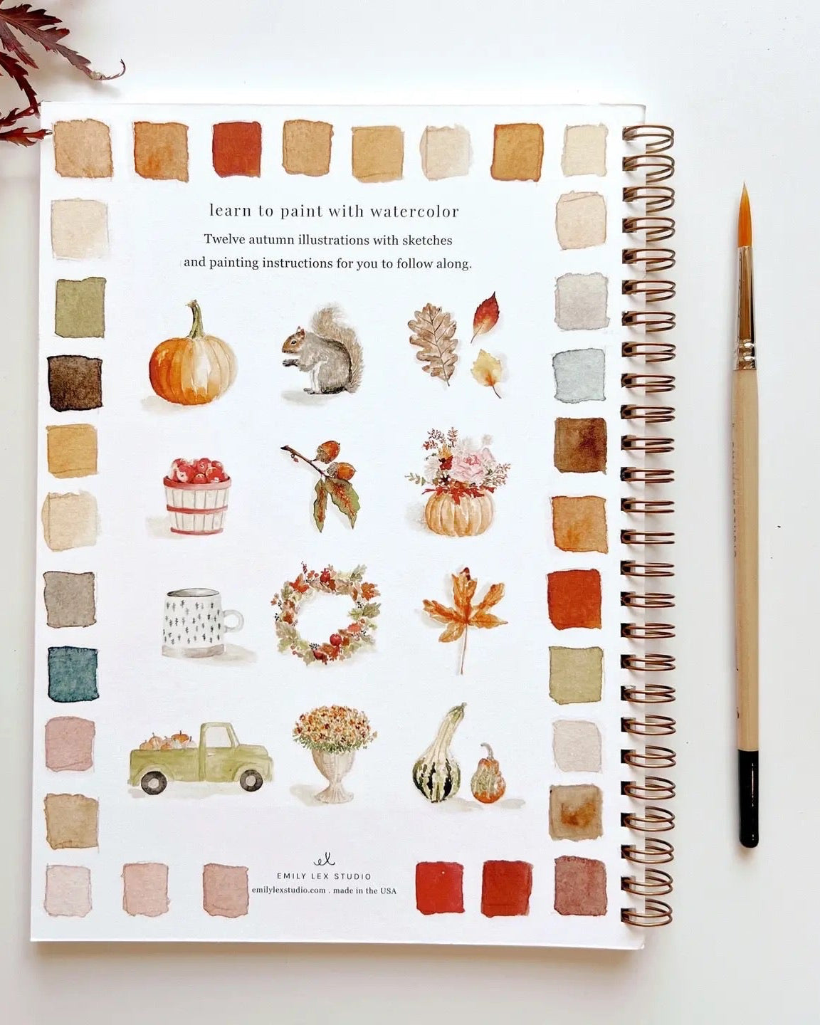 Back of Autumn Watercolor Workbook by Emily Lex displaying twelve finished fall watercolor illustrations like pumpkins, leaves, wreaths, and cozy scenes.