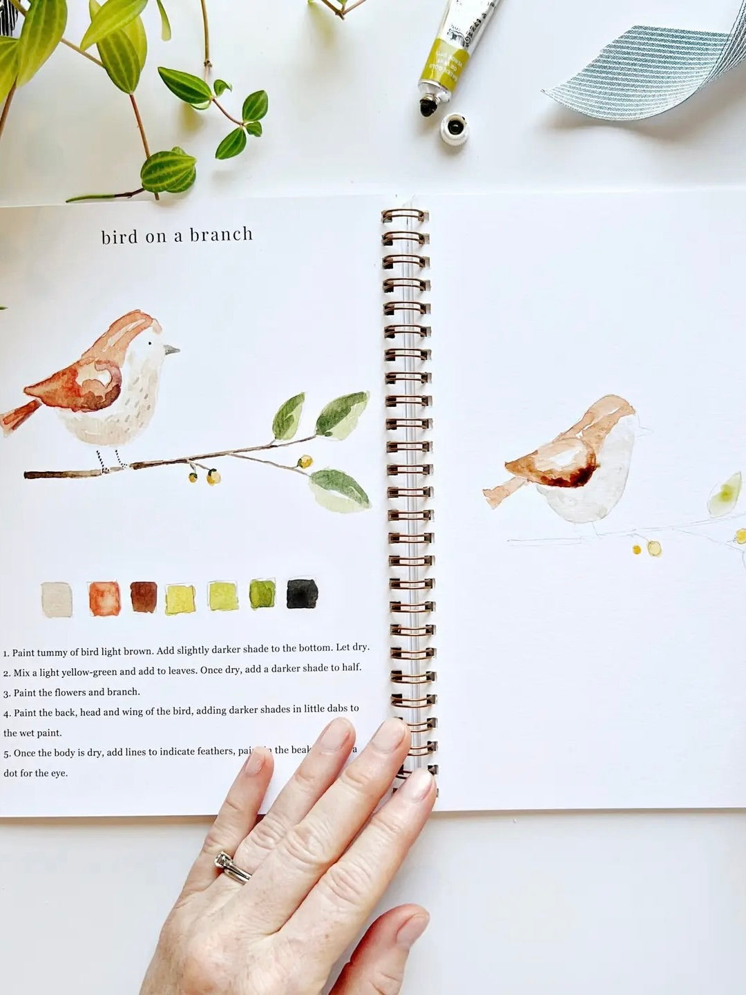 Example page of bird painting with instructions from animals watercolor workbook