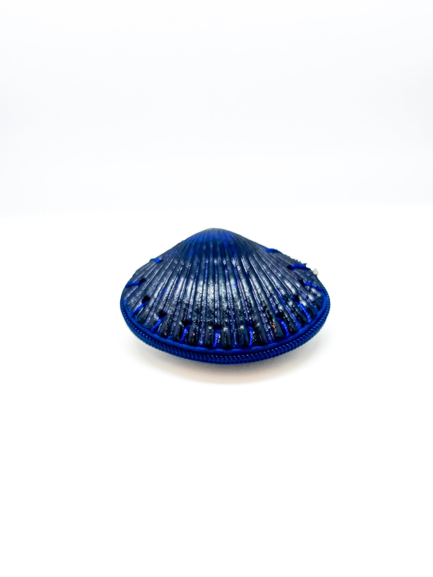 Navy Zippered Shell Coin Purse
