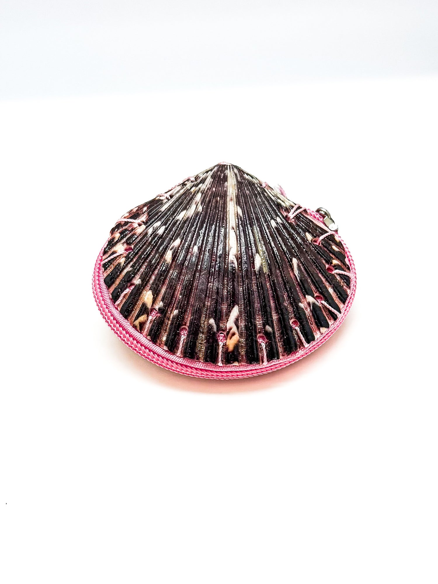 Pink Shell Coin Purse