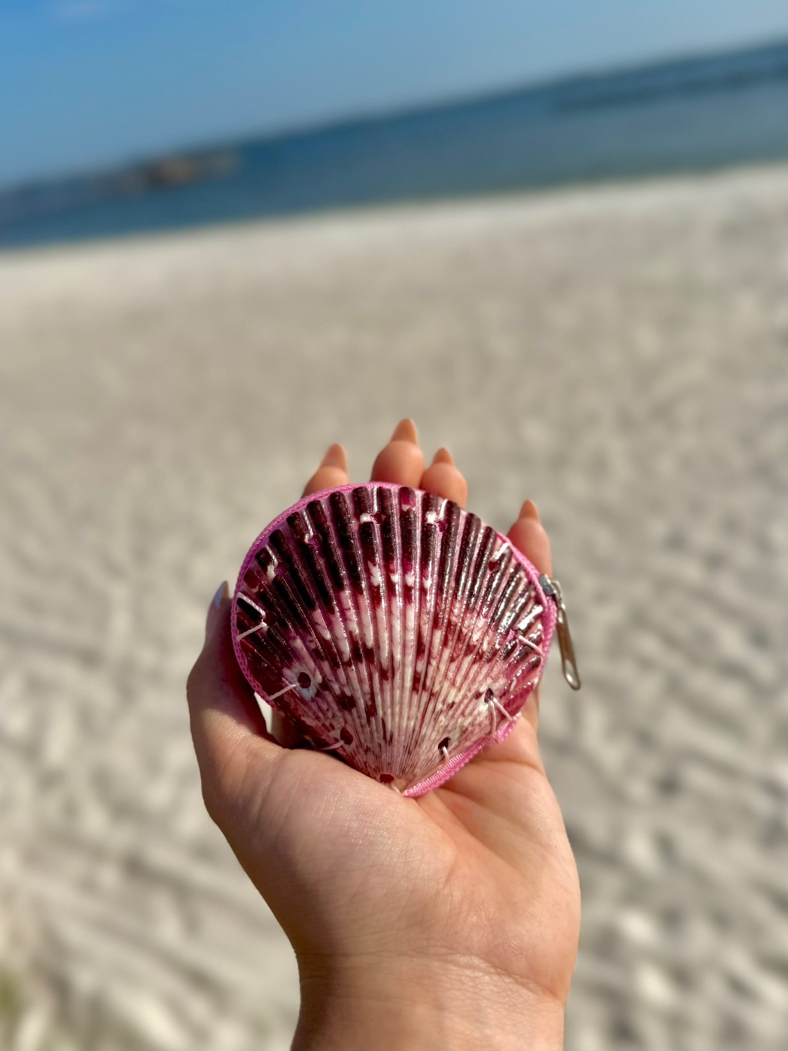 Pink Shell Coin Purse