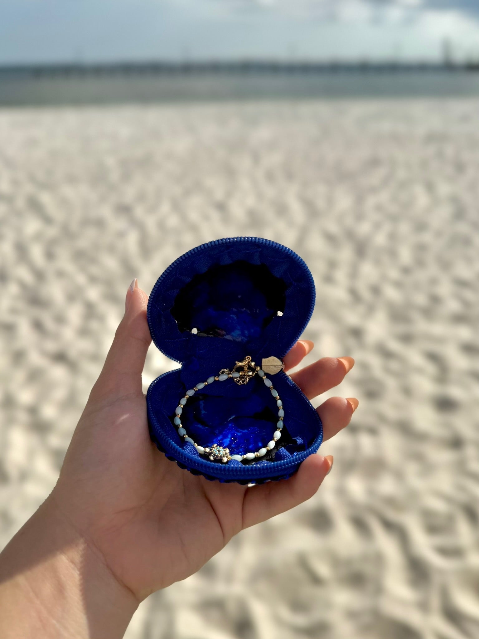 Navy Zippered Shell Coin Purse