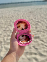 Pink Shell Coin Purse