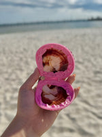 Pink Shell Coin Purse