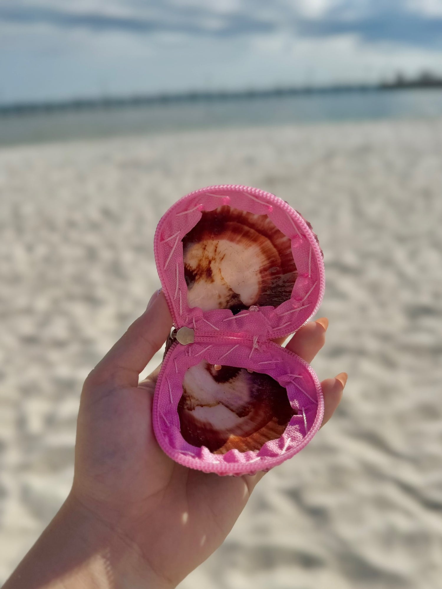 Pink Shell Coin Purse