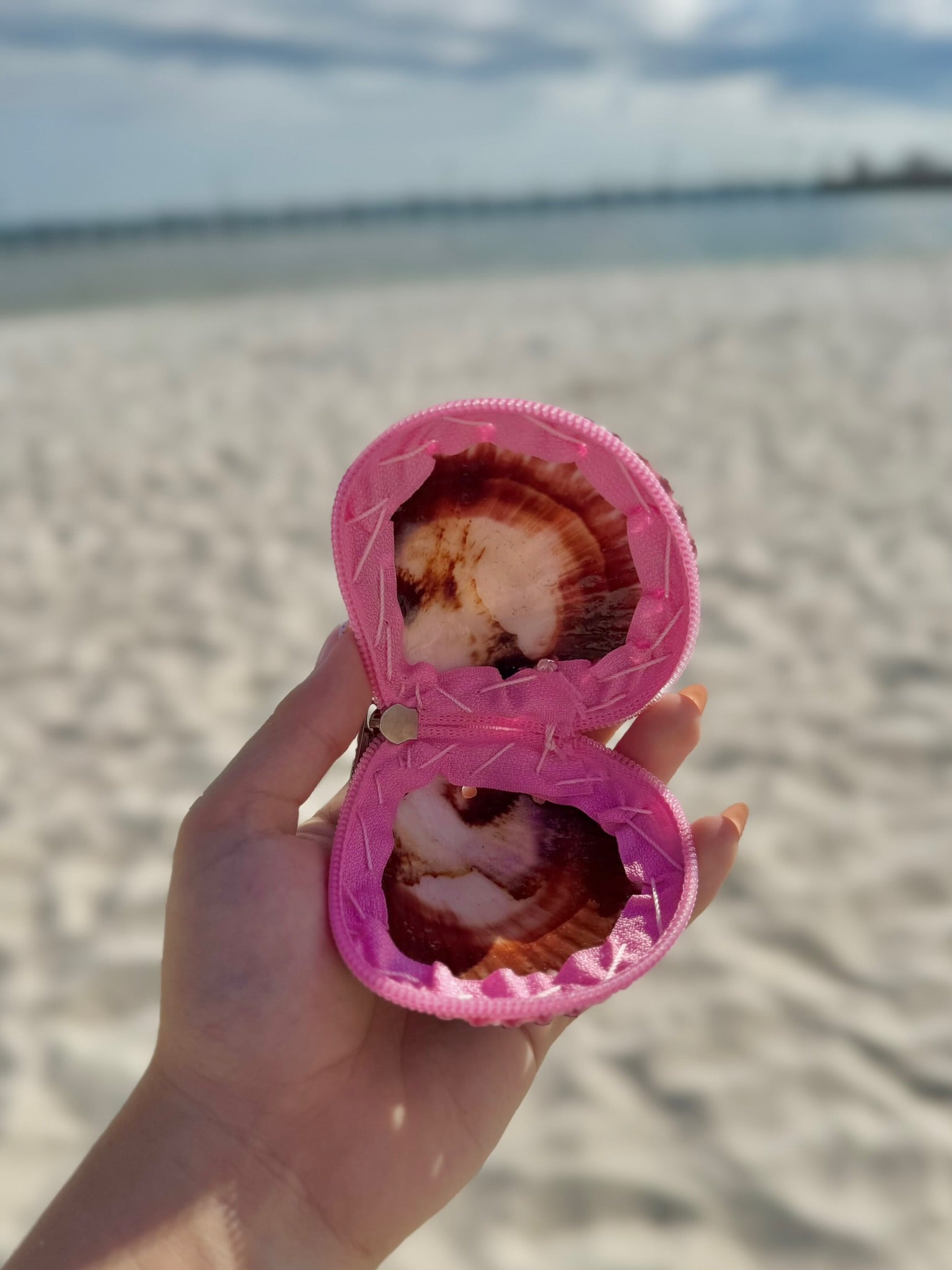 Pink Shell Coin Purse