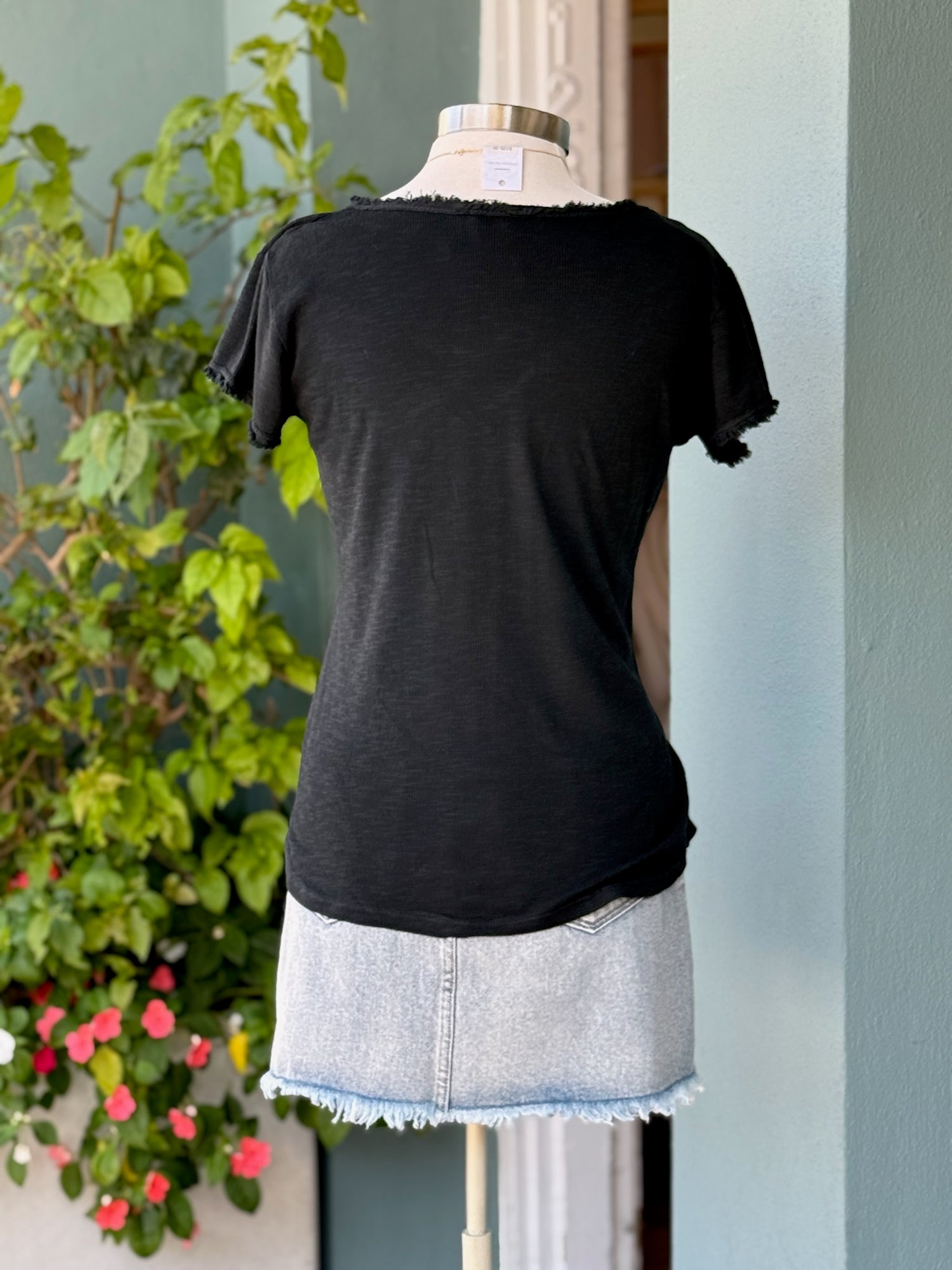 Top Italian Back