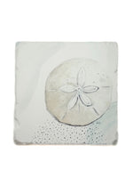Square coaster with a sand dollar design on a white background