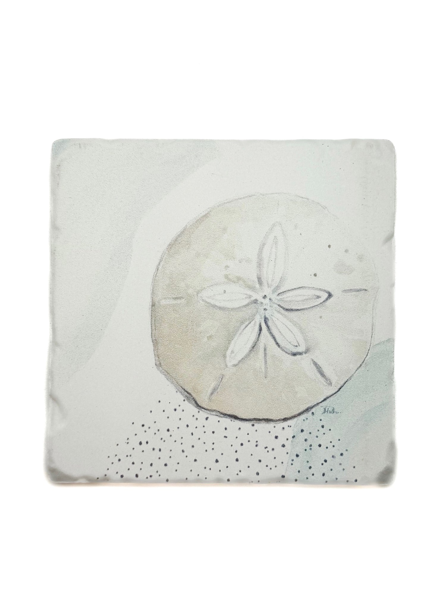 Square coaster with a sand dollar design on a white background