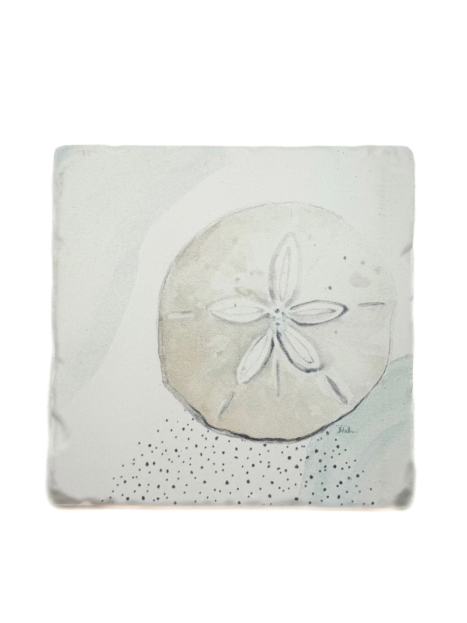 Square coaster with a sand dollar design on a white background