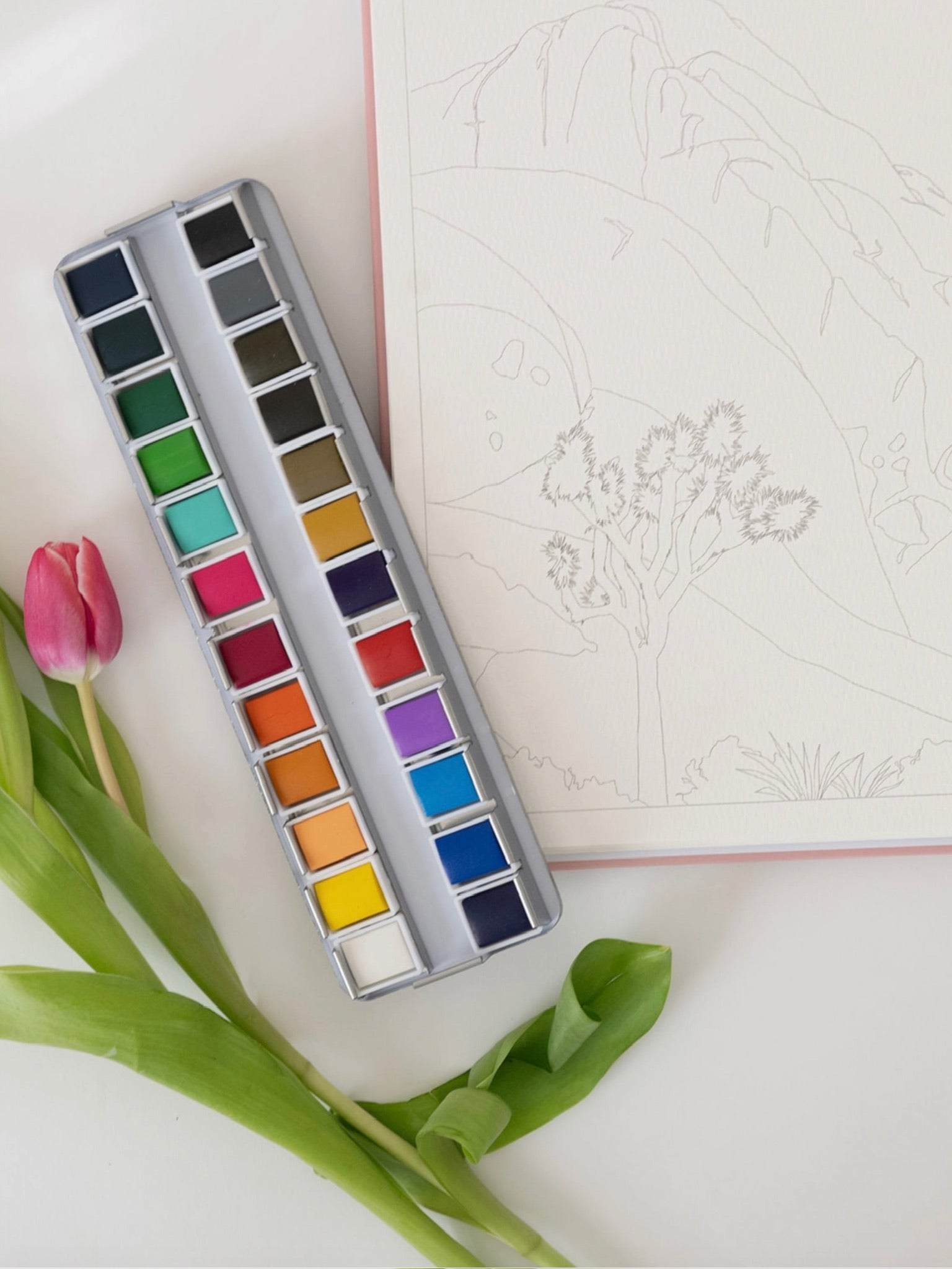 Watercolor paint set with a tulip and a drawing on a white surface
