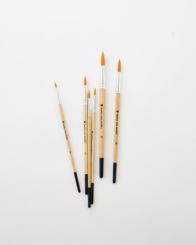 Set of paint brushes with black and natural handles 