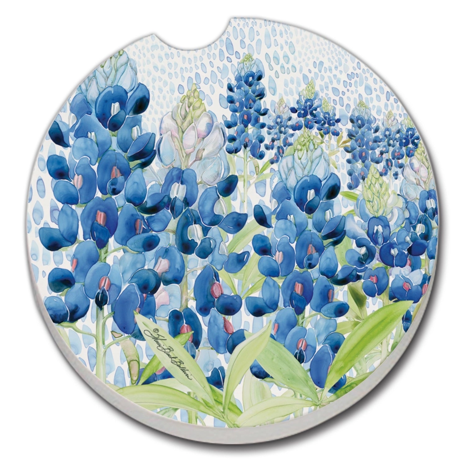 Bluebells Car Coaster