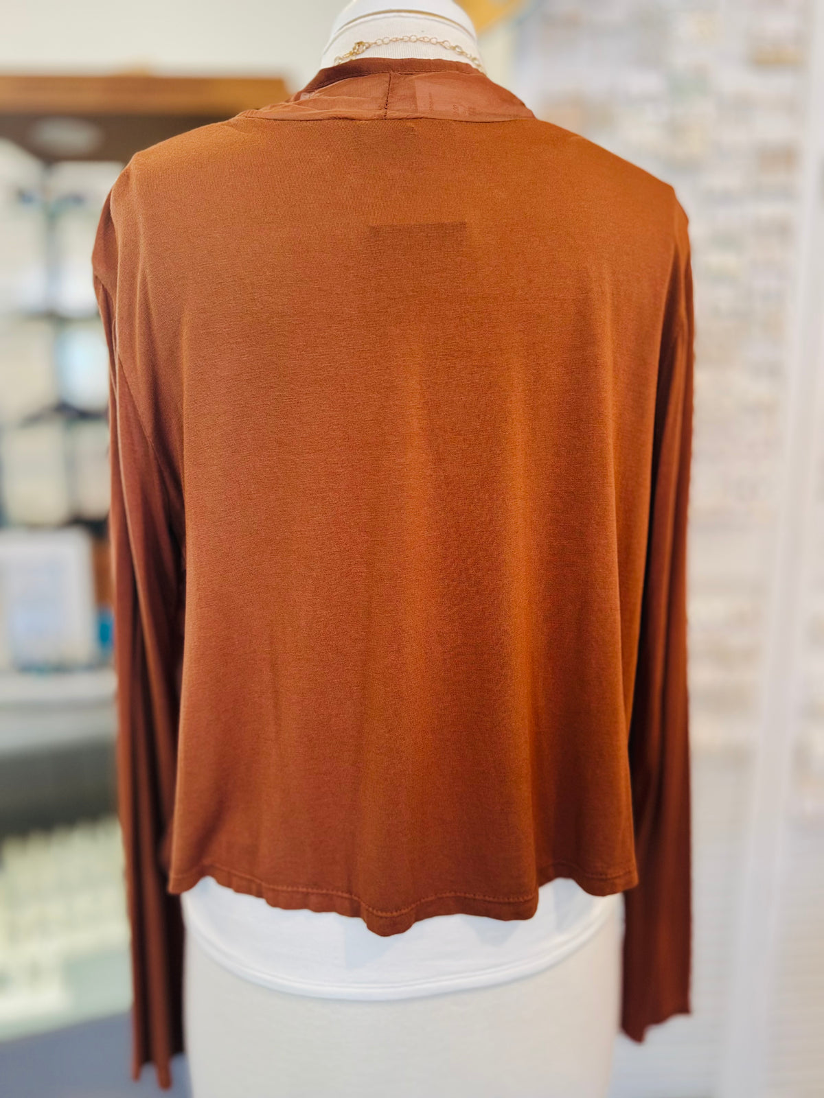 Back view of a rust-colored lightweight cardigan at Ardor Boutique, featuring a smooth knit back, long sleeves, and a slightly cropped hem.