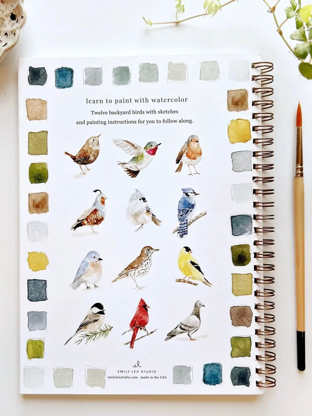 Birds Watercolor Workbook back cover showing 12 painted bird illustrations with color swatches, spiral bound by Emily Lex