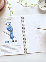 Birds Watercolor Workbook open to Blue Jay page with step-by-step instructions, color palette, and outlined sketch by Emily Lex