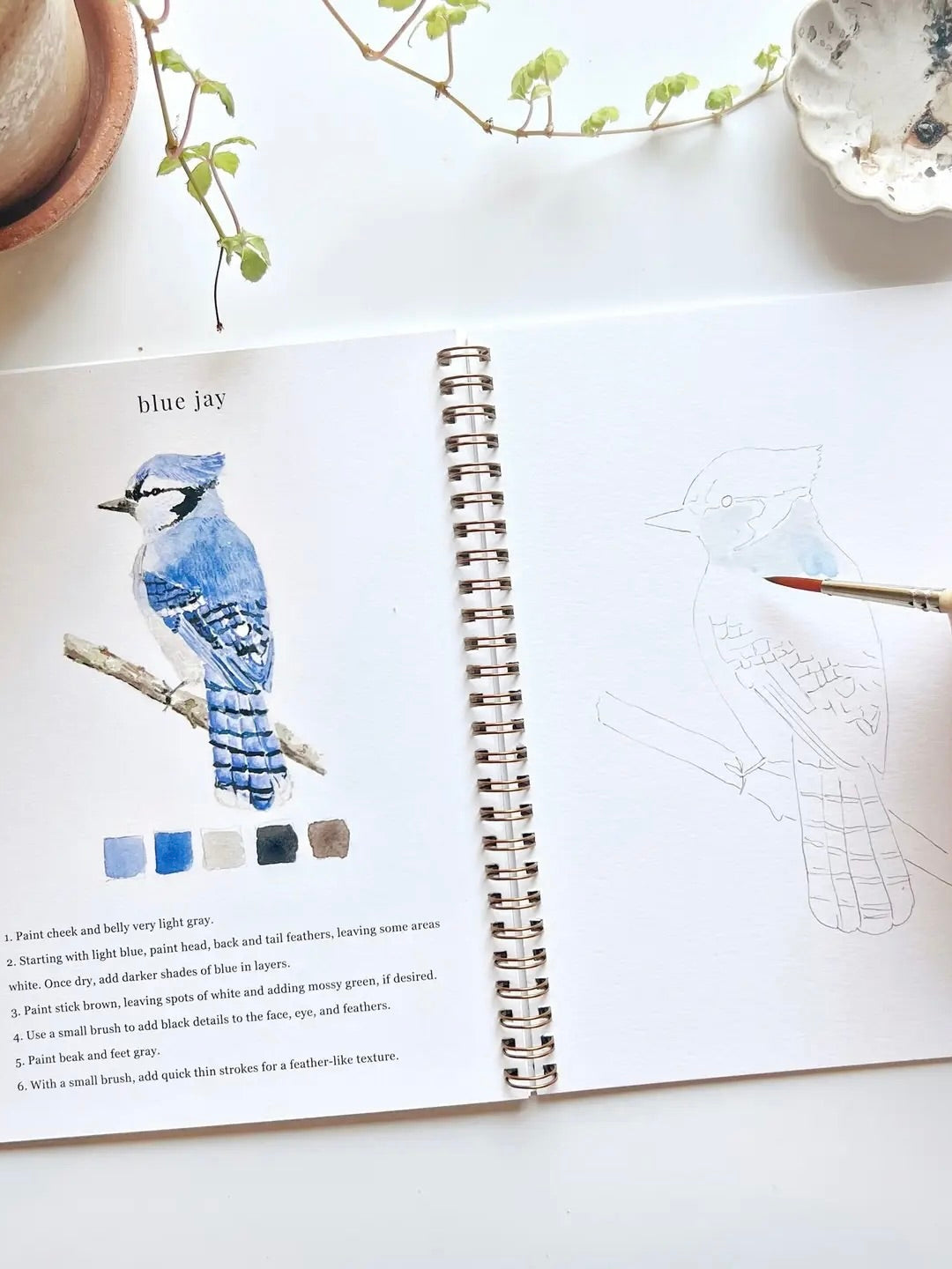 Birds Watercolor Workbook open to Blue Jay page with step-by-step instructions, color palette, and outlined sketch by Emily Lex