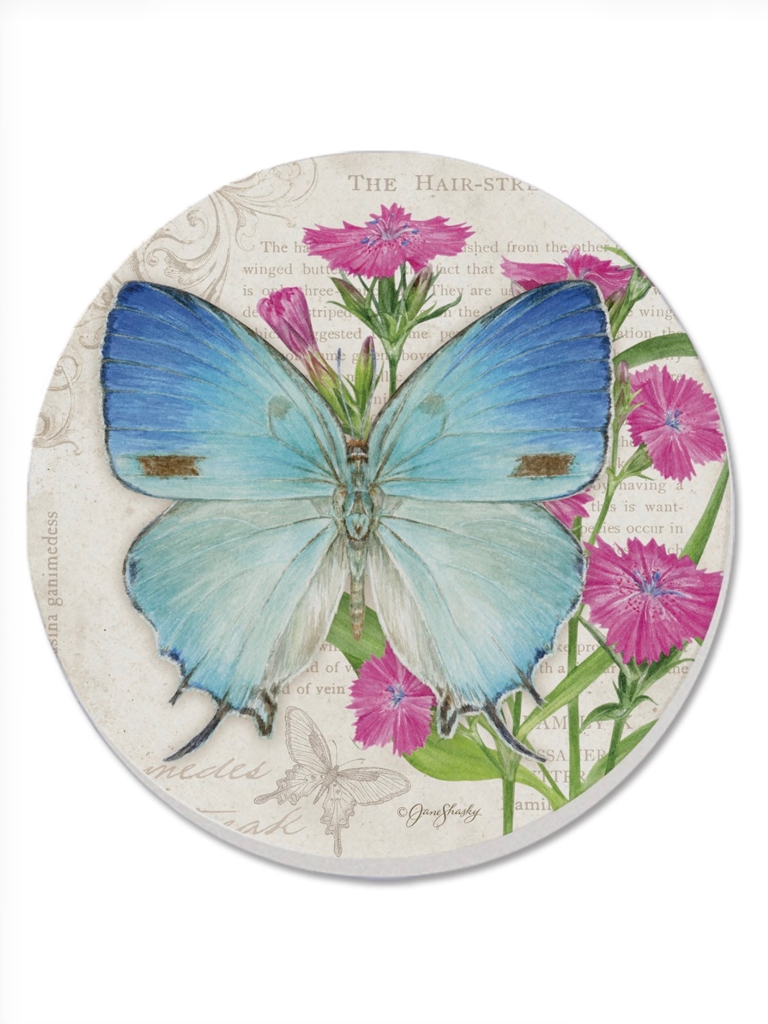 Blue butterfly round coaster with floral artwork, absorbent stone with cork backing and rustic tumbled tile edge from Ardor Boutique
