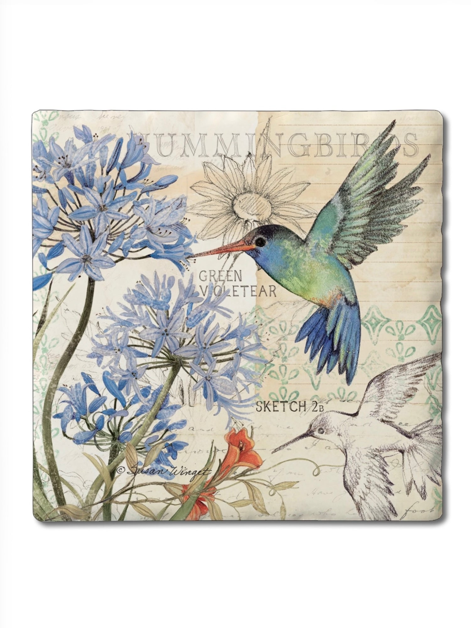 Hummingbird square tile coaster with floral artwork, absorbent stone with cork backing and rustic tumbled tile edge from Ardor Boutique