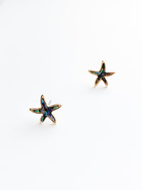 Ariel Starfish studs in gold with an abalone center 